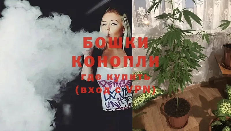 кракен ссылки  Георгиевск  Бошки Шишки OG Kush 